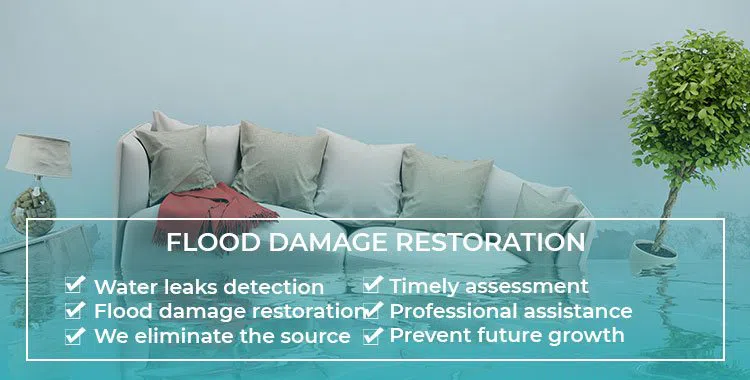 #bslide1 logo-image - banner-1-v2-wgr4