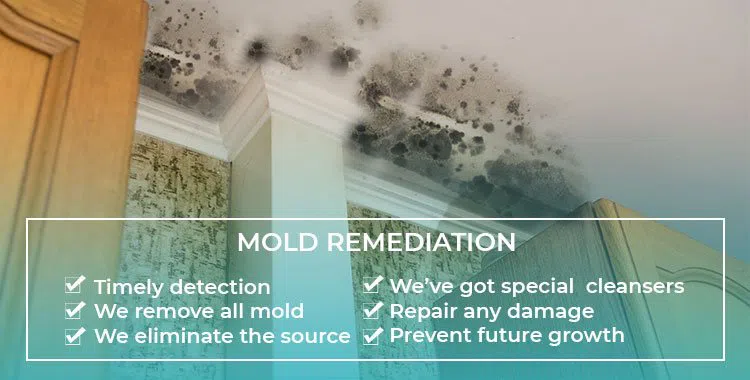 #bslide2 logo-image - banner-2-v2-wgr4