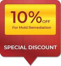 Miami Water & Mold Damage Miami, FL 786-320-7360 Miami Water & Mold Damage Miami, FL 786-320-7360 - discount-v2-wgr4