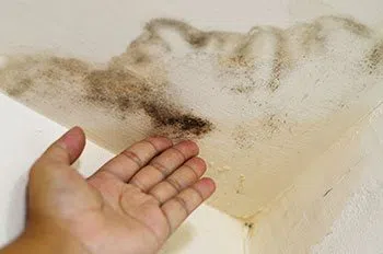 Miami Water & Mold Damage Miami, FL 786-320-7360 Miami Water & Mold Damage Miami, FL 786-320-7360